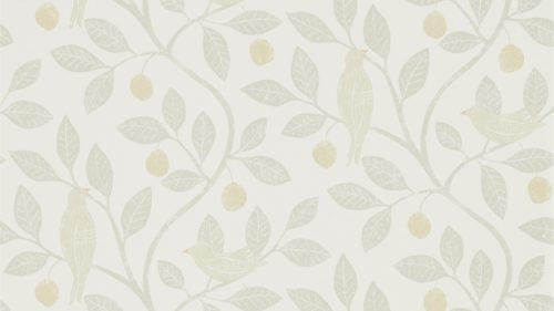 Damson Tree 216366